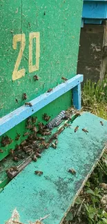 Green beehive with bees buzzing around.