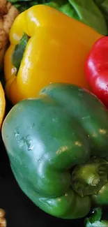 Colorful mix of fresh bell peppers and citrus on display.