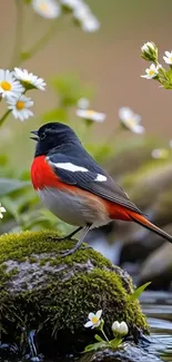 Colorful bird on mossy rock surrounded by daisies near stream.