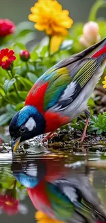 Colorful bird drinking water with vibrant flowers around.