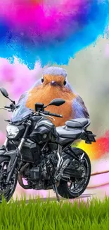 Colorful wallpaper with bird and motorcycle