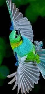 A vibrant bird in flight with a lush green background.