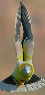 A colorful bird in dynamic flight with vibrant plumage against a blurred background.