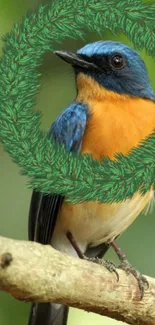 Vibrant bird with blue and orange feathers on a green background.