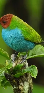 A vibrant green bird sitting on a tropical branch surrounded by lush greenery.