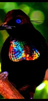 Colorful bird with iridescent feathers perched on a branch.