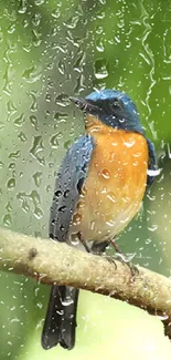 A vivid blue and orange bird perched on a branch in a green forest.