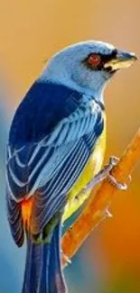 Colorful bird perched on a branch with blue feathers and vivid surroundings.