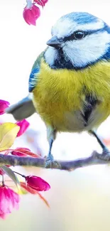 Vibrant blue and yellow bird on a branch with pink blossoms.