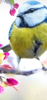 Colorful bird perched on a blossoming branch with pink flowers.