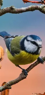 Colorful bird perched on a branch with vibrant background colors.