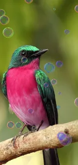 Vibrant pink and green bird perched on branch.