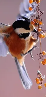 Vibrant bird perched on a branch with orange berries.