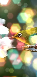 A vibrant green bird on a branch with colorful bokeh background.