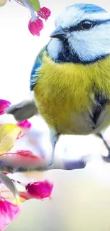 Vibrant bird perched on a branch with pink blossoms, set on a bright background.