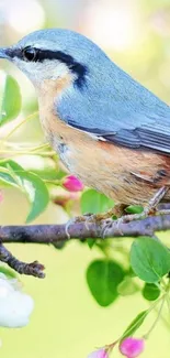 Colorful bird perched on a flowering branch.