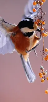 Colorful bird perched on branch with soft background.