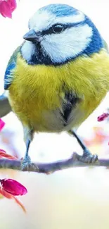 Colorful bird with yellow feathers on branch with pink blossoms.