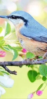 Colorful bird on a blossoming branch in spring scenery.