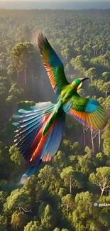 Colorful bird flying over lush forest.