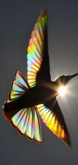 Vibrant bird with sunlit rainbow wings in flight against a dark sky.