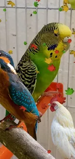 Three colorful birds perched on a branch with a neutral cage background.