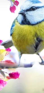 Vibrant blue and yellow bird on a branch, surrounded by pink blossoms.