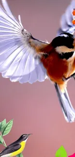 Colorful birds in flight with vivid orange backdrop.