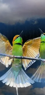 Two colorful birds in flight against a dramatic sky background.