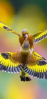 Two vibrant yellow and green birds flying against a blurred colorful background.