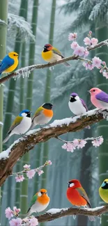 Colorful birds on snowy branches in bamboo forest wallpaper.