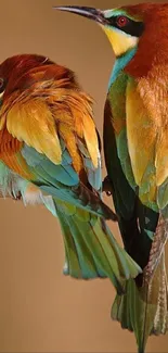 Colorful birds perched on a branch with a brown background.