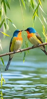 Two colorful birds perched on a branch over water.