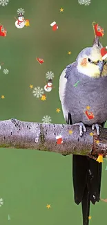 Two colorful birds perched on a branch against a green background.