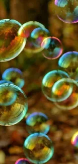 Colorful bubbles floating with a golden hue against a blurred background.