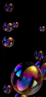 Colorful bubbles on black background wallpaper.