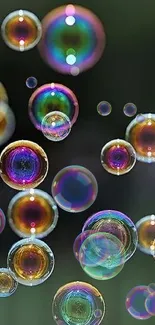 Vibrant colorful bubbles on a dark background create a mesmerizing, artistic wallpaper.