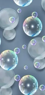 Colorful floating bubbles on a serene background.