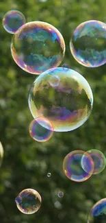 Colorful bubbles floating over a green natural background.