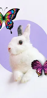 White bunny with butterflies on colorful wallpaper.