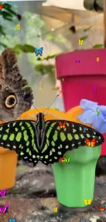 Colorful butterflies on potted flowers with a green backdrop.