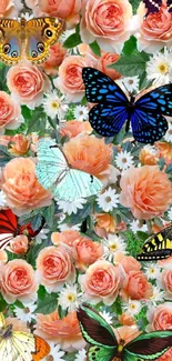 Colorful butterflies with peach roses wallpaper.