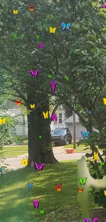 Colorful butterflies on green trees in outdoor wallpaper.