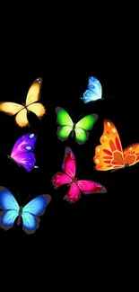 Colorful butterflies on a black background mobile wallpaper.