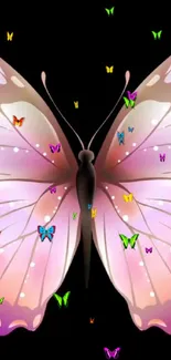 Pink butterfly with colorful dots on black background.