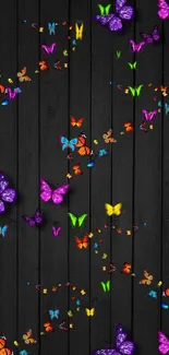 Colorful butterflies on a black wooden background.