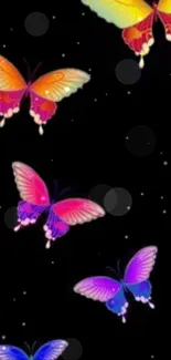 Colorful butterflies on black background wallpaper.