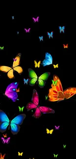 Colorful butterflies on a black background wallpaper.