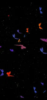 Colorful butterflies fluttering against a black, starry background.