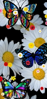 Colorful butterflies on white daisies wallpaper.